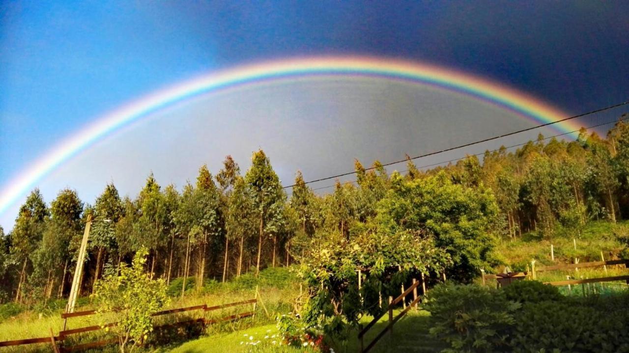 Casa O Furco Daire Foz Dış mekan fotoğraf